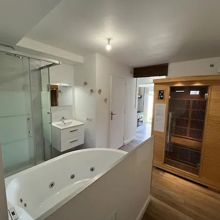 Apartment Sejour Sauna Et Jacuzzi Cocon La Roche-sur-Yon