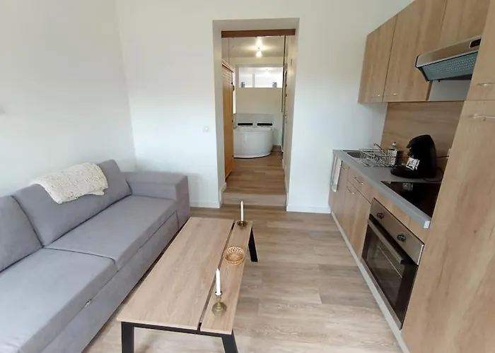 Sejour Sauna Et Jacuzzi Cocon Apartment *